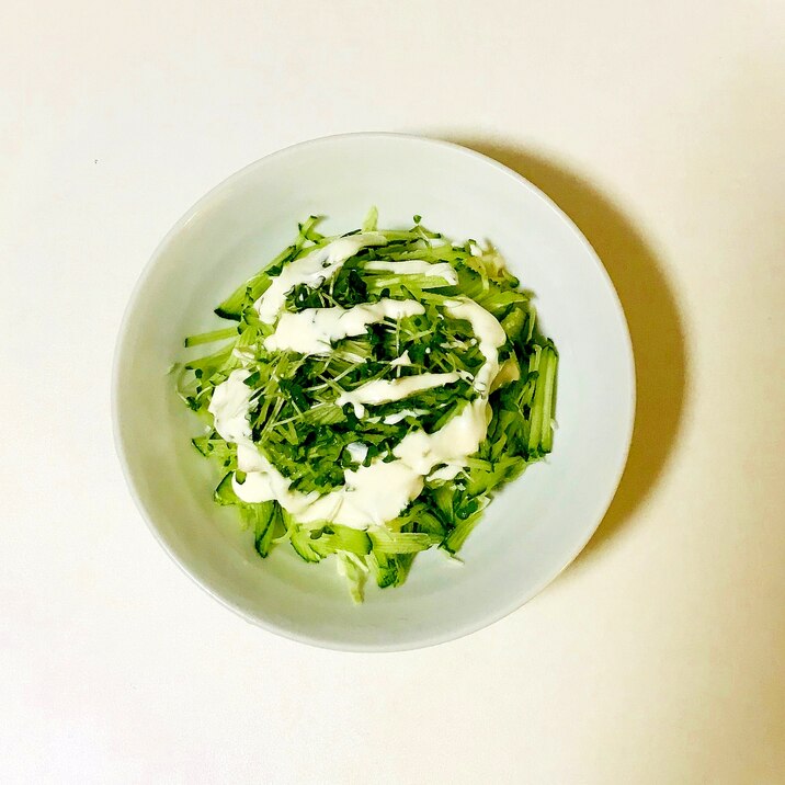ヨーグルトドレッシングの生野菜サラダ